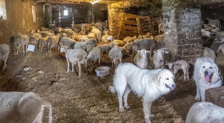 Boutique de CBD à Valence